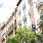 Sauce Zaragoza