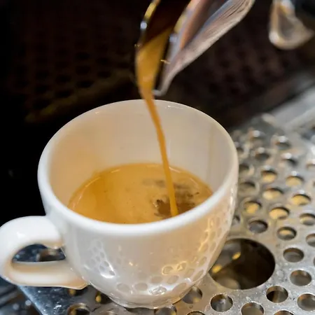 Sauce Hotel Zaragoza