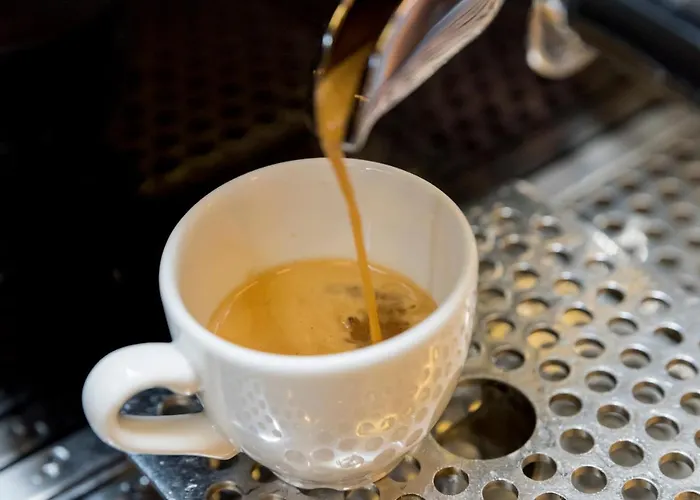 Sauce Hotel Saragoça